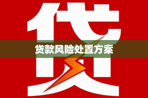 佳冬贷款风险处置方案