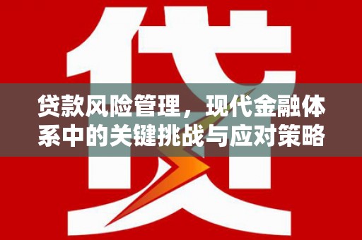 佳冬贷款风险管理，现代金融体系中的关键挑战与应对策略