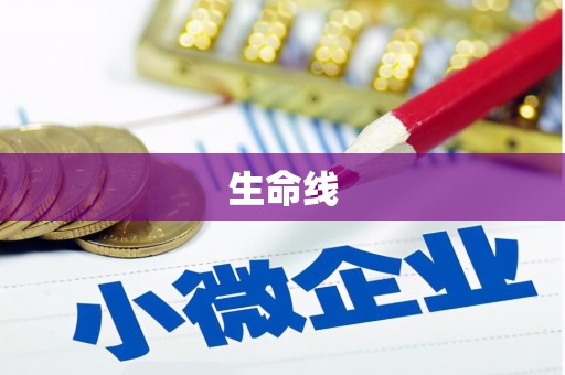 佳冬生命线