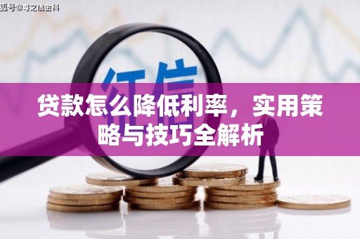 佳冬贷款怎么降低利率，实用策略与技巧全解析