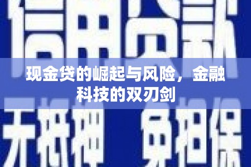 佳冬现金贷的崛起与风险，金融科技的双刃剑