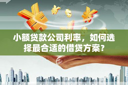 佳冬小额贷款公司利率，如何选择最合适的借贷方案？