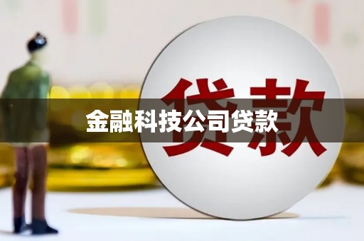 佳冬金融科技公司贷款