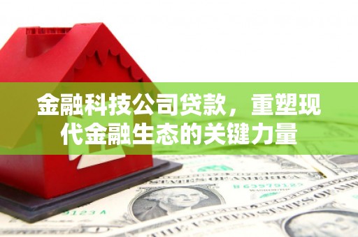 佳冬金融科技公司贷款，重塑现代金融生态的关键力量