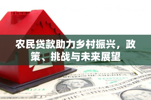 佳冬农民贷款助力乡村振兴，政策、挑战与未来展望