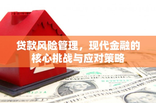 佳冬贷款风险管理，现代金融的核心挑战与应对策略