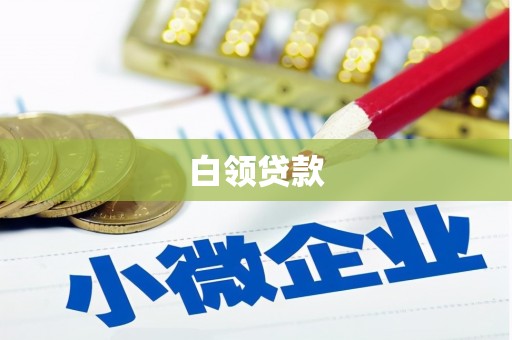 佳冬白领贷款