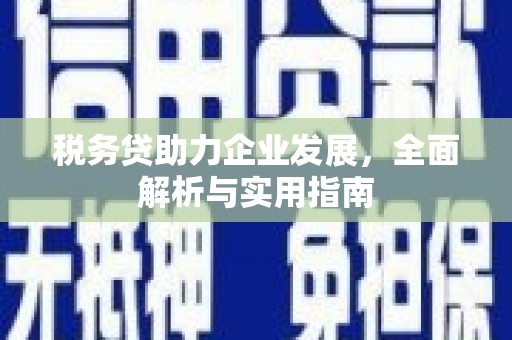 佳冬税务贷助力企业发展，全面解析与实用指南