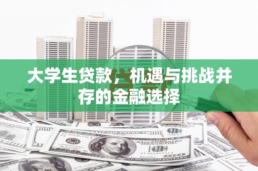 佳冬大学生贷款，机遇与挑战并存的金融选择