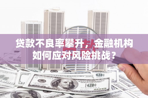 佳冬贷款不良率攀升，金融机构如何应对风险挑战？