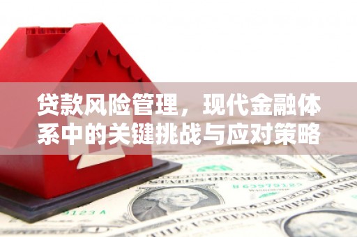 佳冬贷款风险管理，现代金融体系中的关键挑战与应对策略