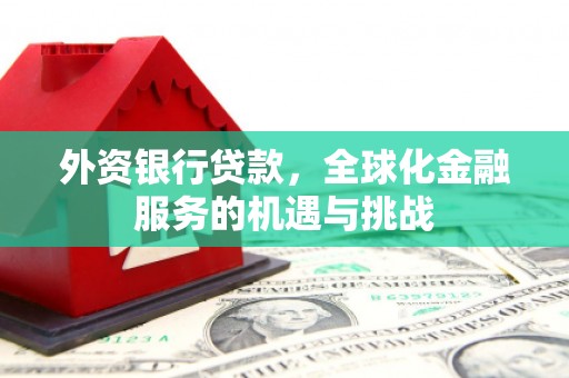 佳冬外资银行贷款，全球化金融服务的机遇与挑战