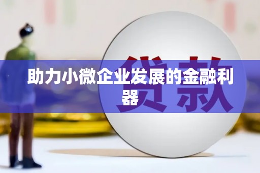佳冬助力小微企业发展的金融利器