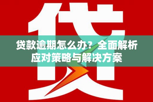 佳冬贷款逾期怎么办？全面解析应对策略与解决方案