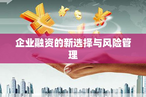 佳冬企业融资的新选择与风险管理
