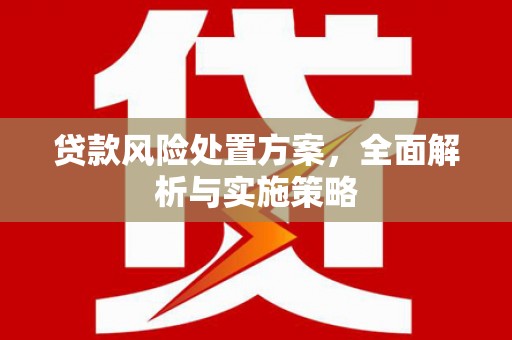 佳冬贷款风险处置方案，全面解析与实施策略
