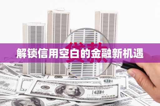 佳冬解锁信用空白的金融新机遇