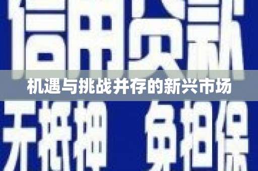 佳冬机遇与挑战并存的新兴市场