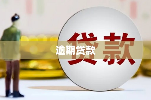 佳冬逾期贷款