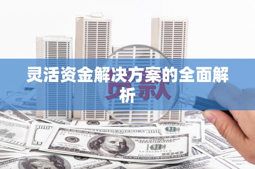佳冬灵活资金解决方案的全面解析