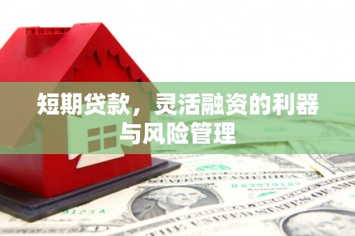 佳冬短期贷款，灵活融资的利器与风险管理