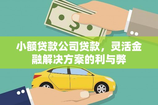 佳冬小额贷款公司贷款，灵活金融解决方案的利与弊