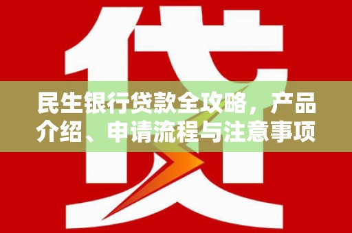 佳冬民生银行贷款全攻略，产品介绍、申请流程与注意事项